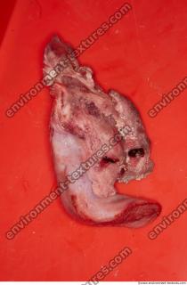 Photo Textures of RAW Pork Viscera